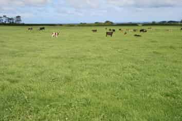 939 Auroa Road, Auroa