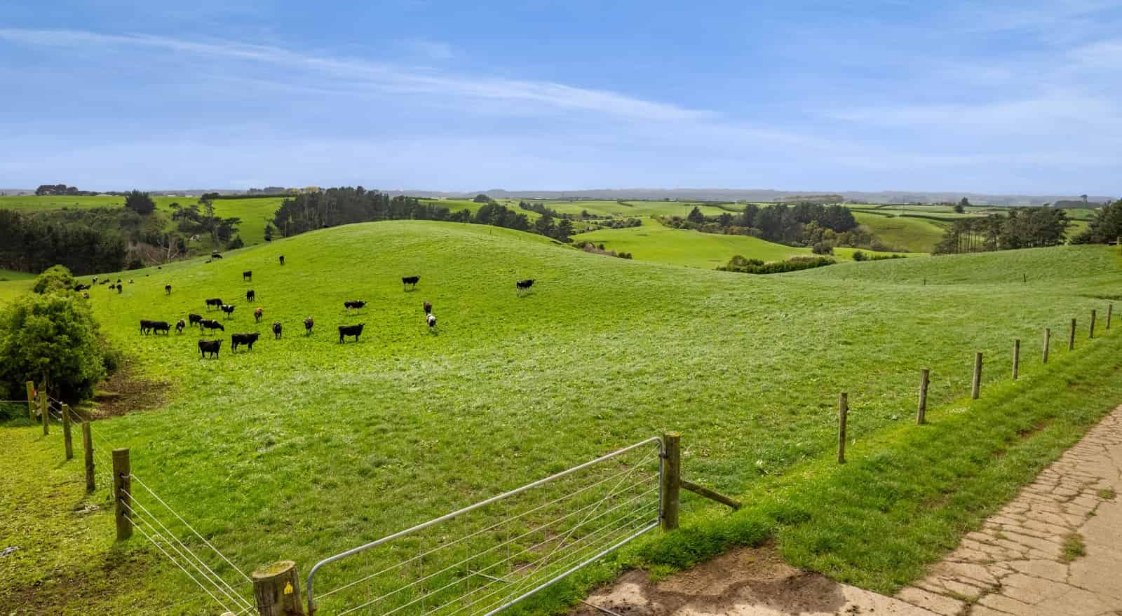 Haven Ropata 2A Ropata Street, Hawera, South Taranaki - For Sale - realestate.co.nz