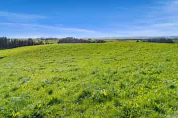 2A Ropata Street, Hawera