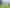 Northland - Address withheld