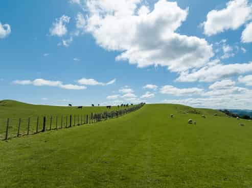 45 Te Akau Coast Road, Te Akau