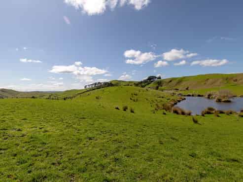 45 Te Akau Coast Road, Te Akau