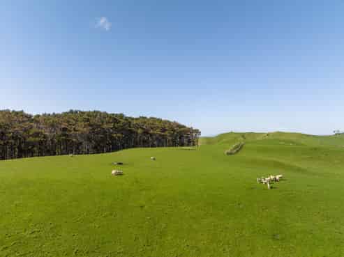 45 Te Akau Coast Road, Te Akau