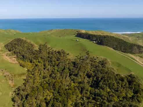 45 Te Akau Coast Road, Te Akau
