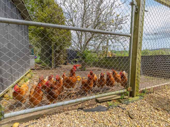 24 and 26 Tahuna-ohinewai Road, Morrinsville