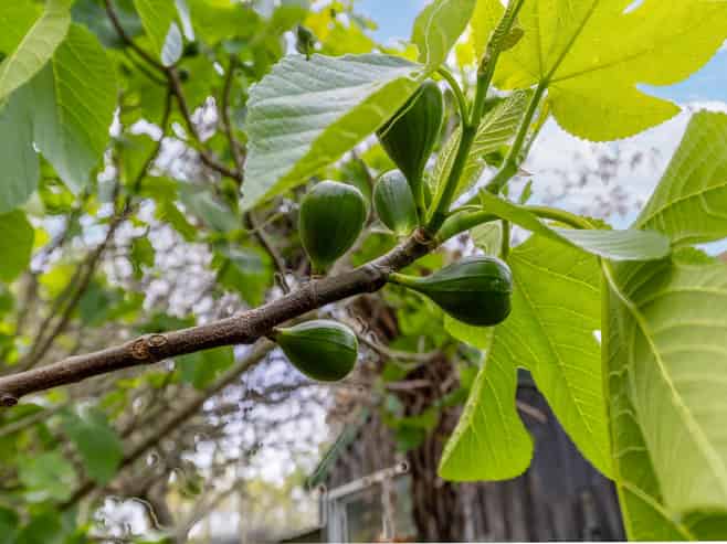 24 and 26 Tahuna-ohinewai Road, Morrinsville