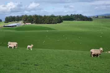 1628 Tuapeka West Road and 275 Bush Road, Tuapeka West