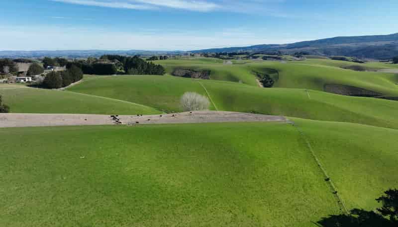 1628 Tuapeka West Road and 275 Bush Road, Tuapeka West