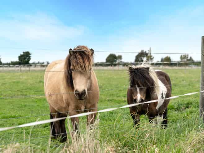 664 Depot Road, Oxford