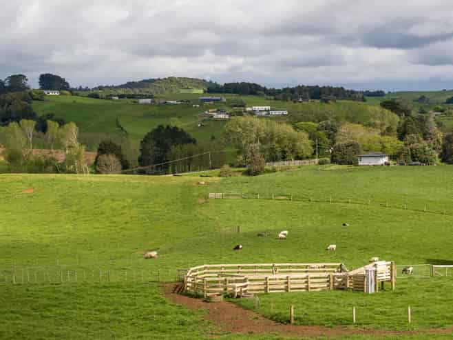 697 Maungatawhiri Road, Raglan