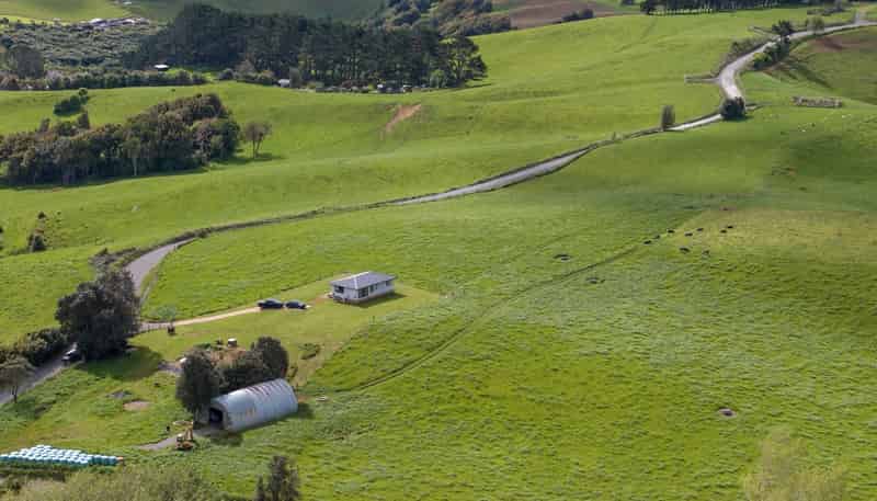 697 Maungatawhiri Road, Raglan