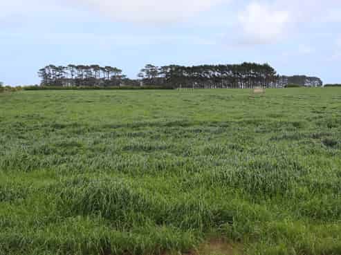 987 Auroa Road, Auroa