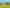Lot 1,1278 Poihipi Road, Oruanui