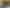 Lot 1,1278 Poihipi Road, Oruanui