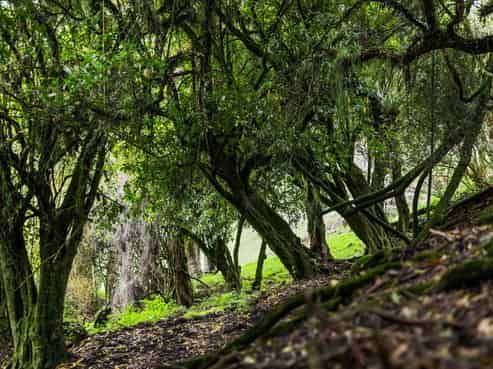 Lot 1,1278 Poihipi Road, Oruanui