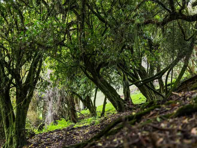Lot 1,1278 Poihipi Road, Oruanui