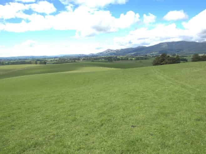 368 Mill Road, Kelso