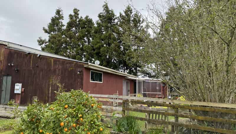 198 Buckville Road , Pukekohe
