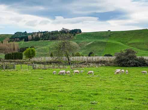 118 Wenley Road, Raukawa