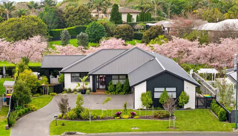 10 Serenity Drive, Omokoroa