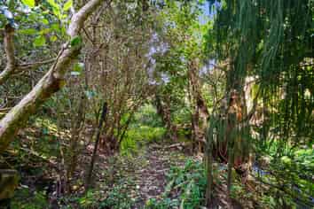 41B Athlone Road, Glendowie