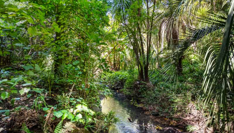 41B Athlone Road, Glendowie