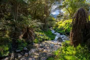 1809 Motueka Valley Highway, Ngatimoti
