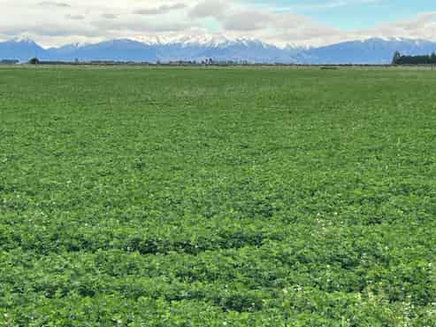 102 Coplands Road, Ashburton