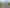 134 Ridge Street, Otumoetai
