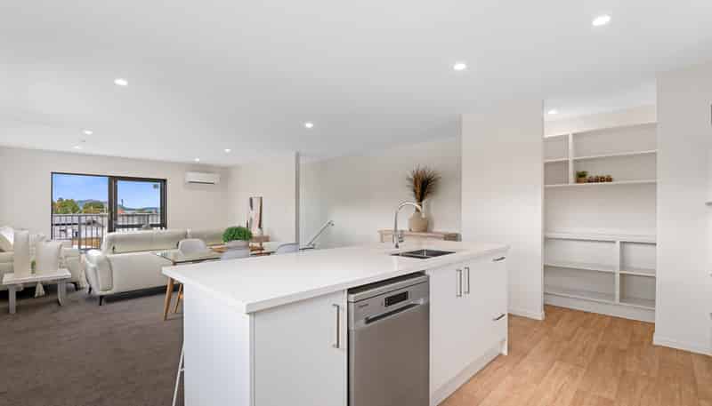 48 Te Arawhata Crescent, Koutu