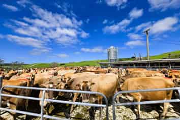 213 Lindquist Road, Ararua