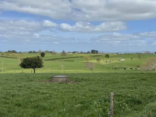 106 Herbert Road, Morrinsville