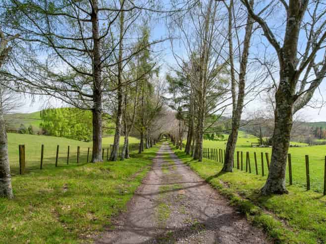 101 Te Weta Road, Waikite Valley