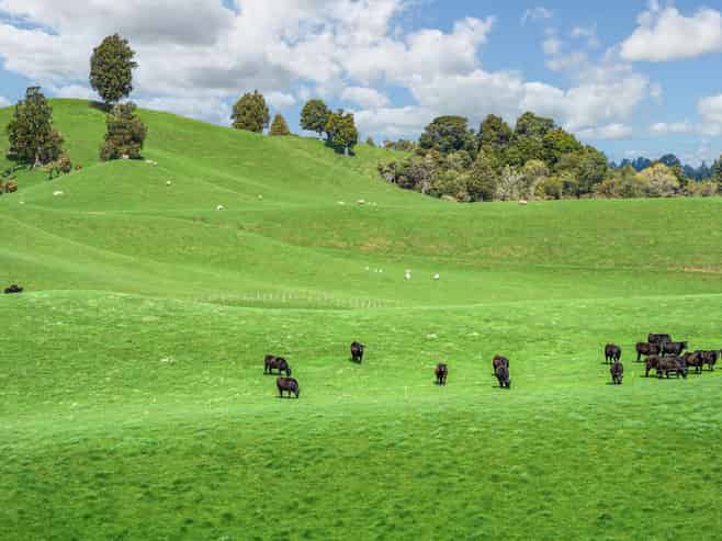 50 Little Bush Road, Puketitiri