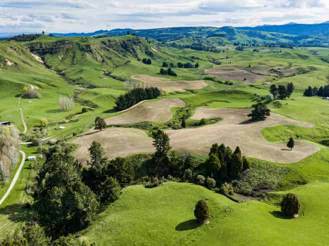 50 Little Bush Road, Puketitiri