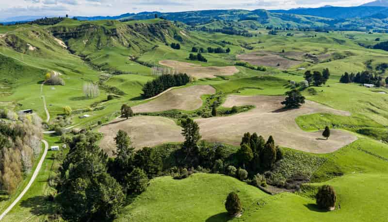 50 Little Bush Road, Puketitiri