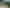 200 Onemana Drive, Onemana