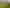 137 Kayelene Place, Omokoroa