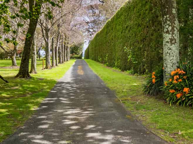 137 Kayelene Place, Omokoroa