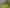 137 Kayelene Place, Omokoroa
