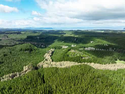   State Highway 32, Turangi