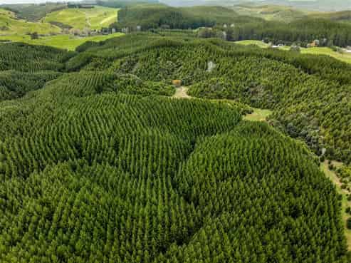   State Highway 32, Turangi