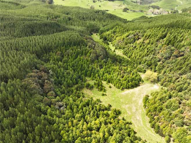   State Highway 32, Turangi