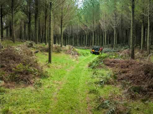   State Highway 32, Turangi