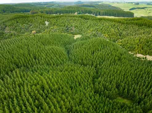   State Highway 32, Turangi