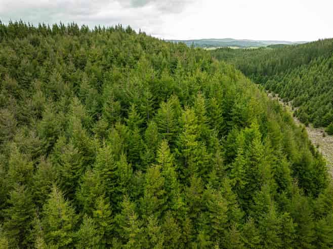   State Highway 32, Turangi