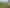 168 Pao Road, Aria