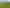 168 Pao Road, Aria