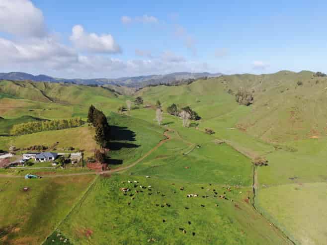 168 Pao Road, Aria