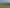 1007 State Highway 2, Masterton